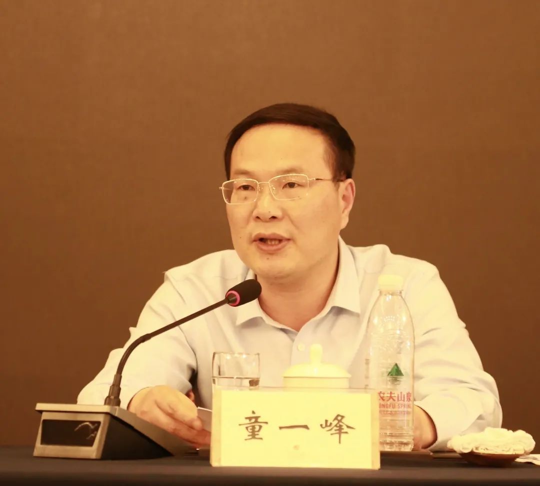 童一峰肯定了致公党区基层委一年来的工作.