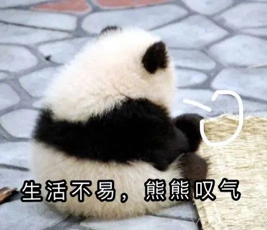 熊猫头叹气图片