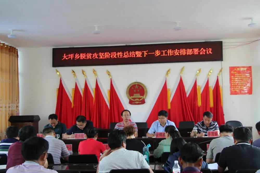 县人大常委会主任李元到会指导,县级挂联部门负责人,大坪乡党政领导