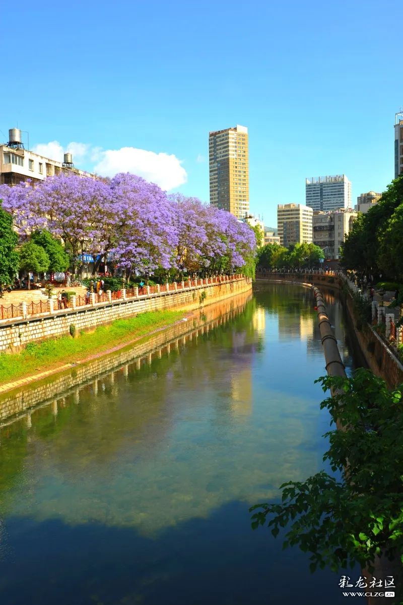 9大方面23项任务昆明建设世界春城花都今年这样干