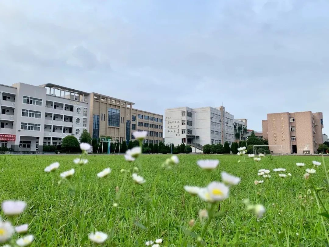 宁海11所学校入选新一批市文明校园有你学校吗