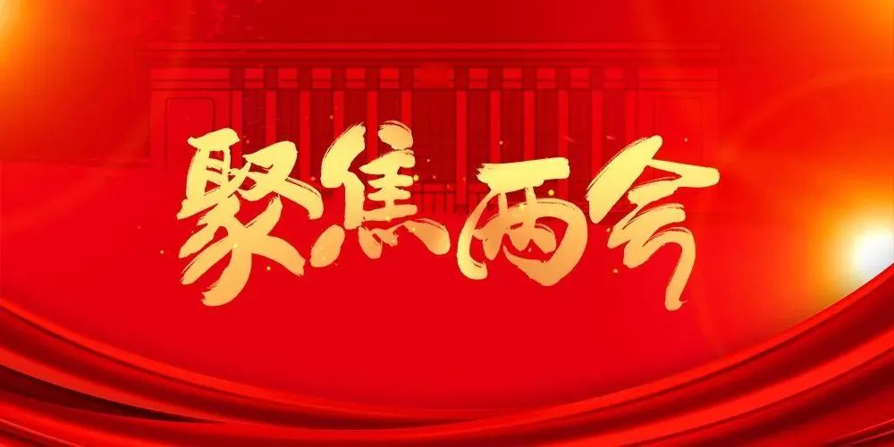 聚焦两会|代表委员看法院:过去一年,德清法院创新不断!