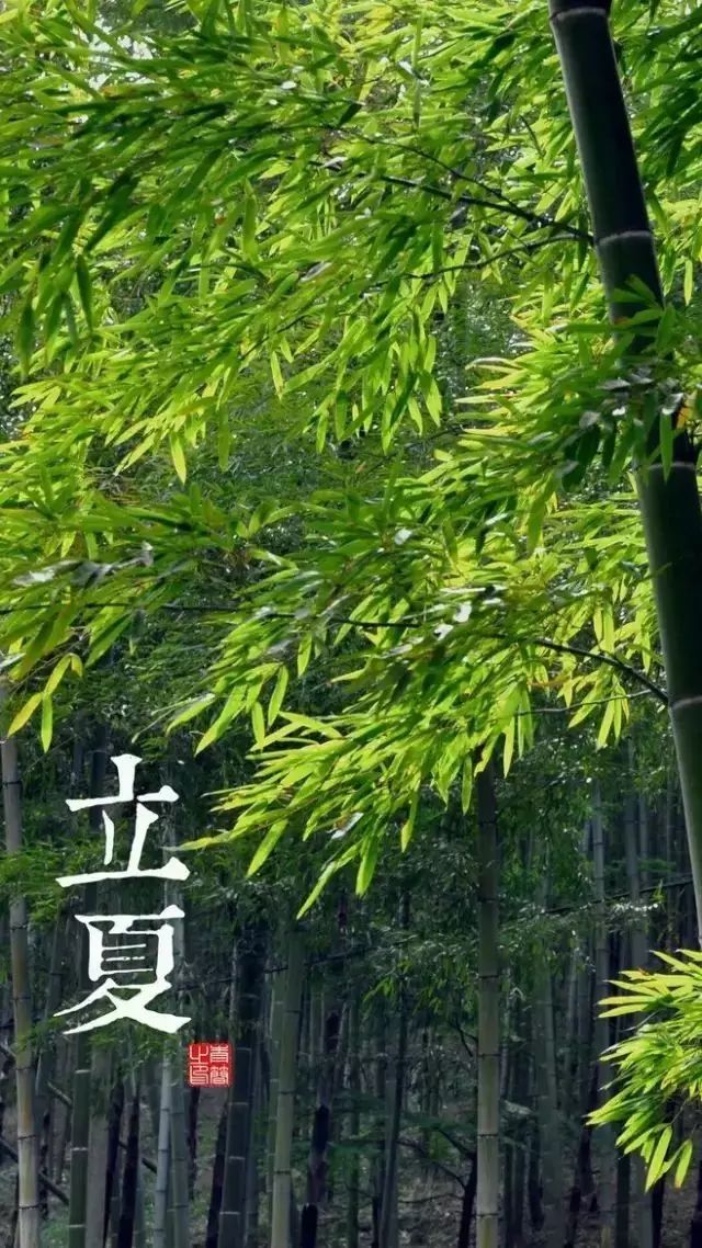 640_1138竖版 竖屏