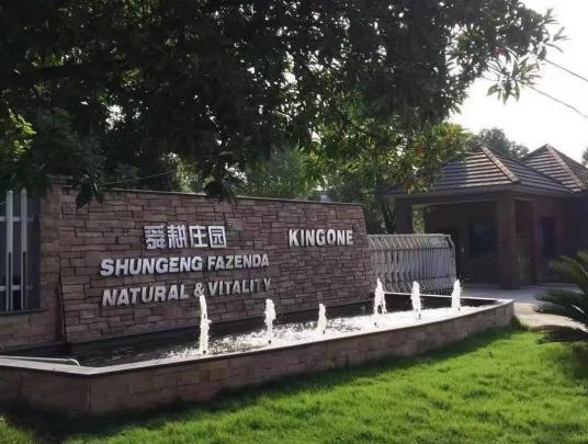 美味夏季果醇香桑葚膏舜耕庄园留住春天的美味