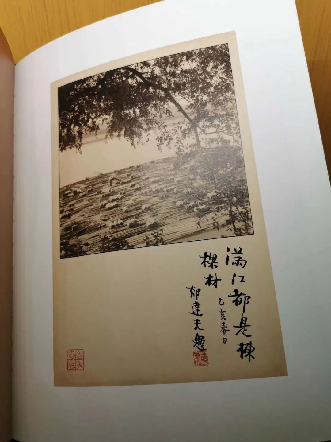 中国摄影书典藏系列骆伯年