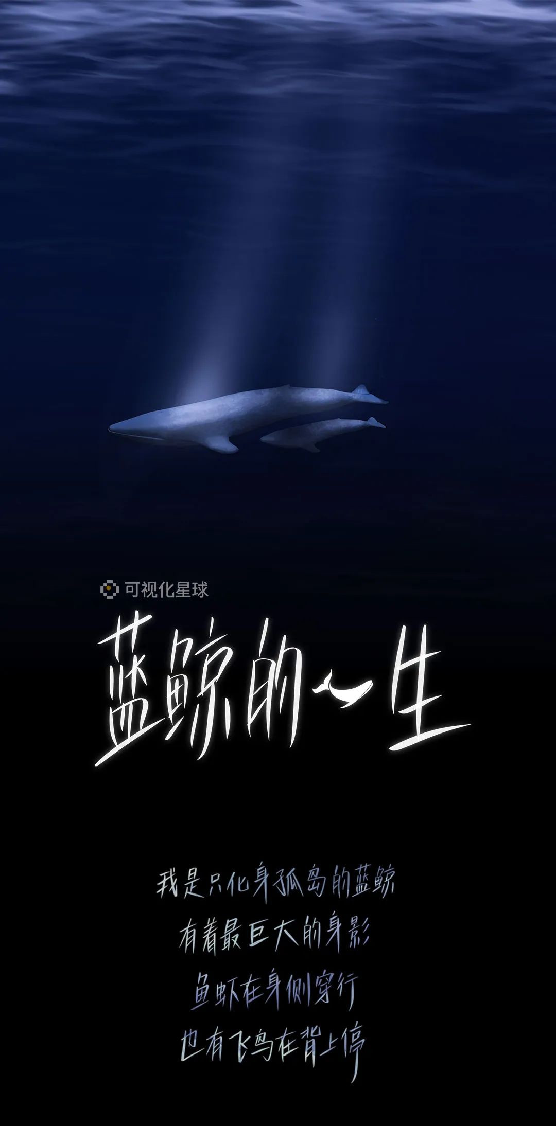 蓝鲸4:20死亡游戏从QQ转战微信群 入群需交费提供裸照_凤凰资讯
