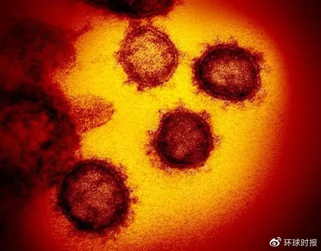 新的新冠病毒毒株被发现