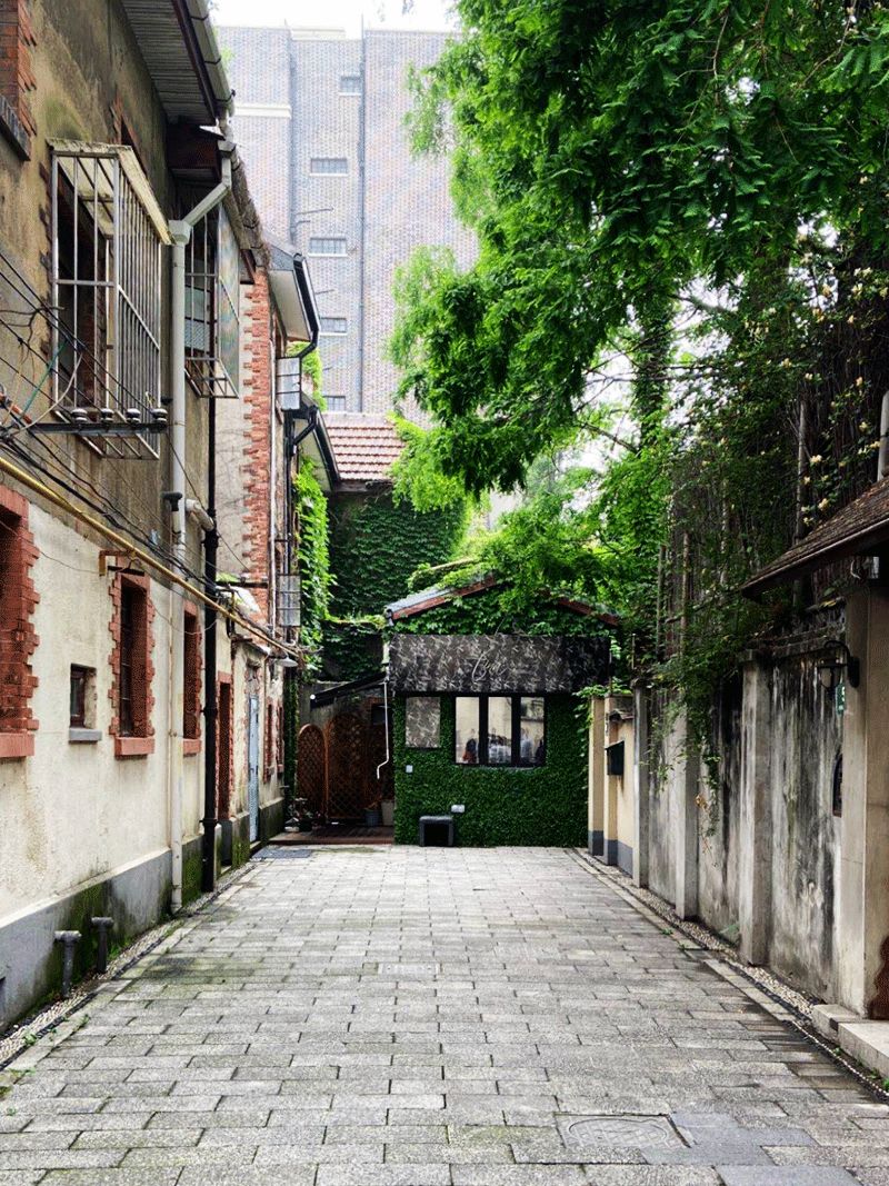 从瑞华公寓出发去五原路延庆路和安福路采风