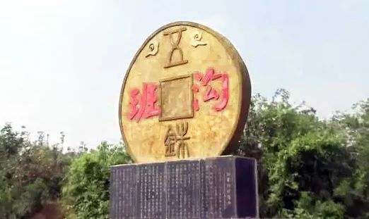 花海孟津花开紫桂园云端赏月季