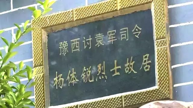 花海孟津花开紫桂园云端赏月季