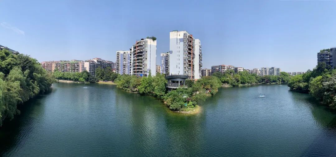 靓景问渠哪得清如许只因请到小虫来