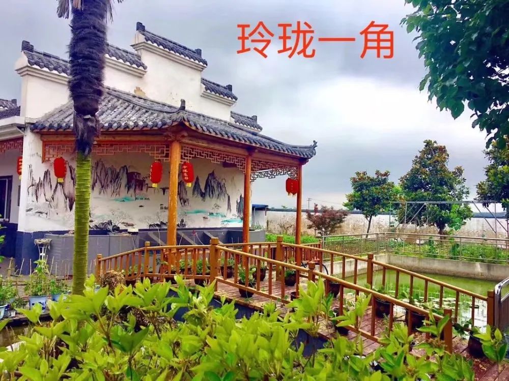 徽姑娘农家乐系列推介