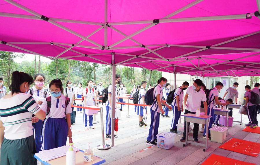 江门紫茶中学学生图片