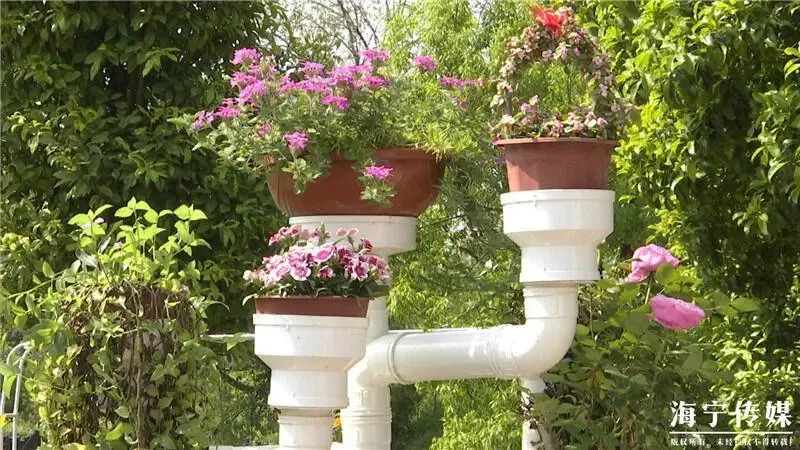 海宁夫妻别出心裁搞庭院一根水管变多个盆栽