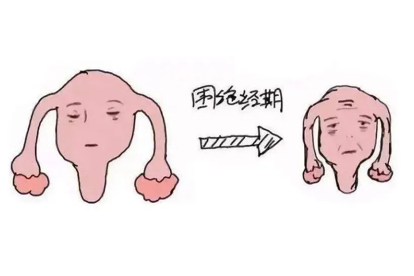 围绝经期开始的标志是什么?