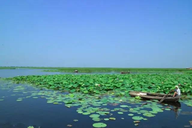 优秀雄安新区安新县成河北省首批冰雪运动示范县