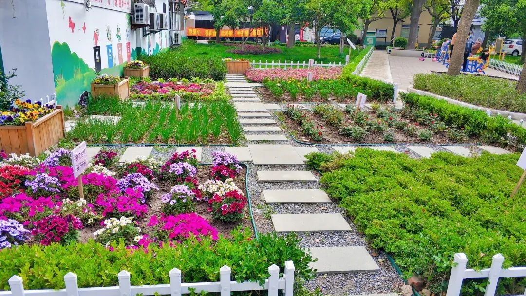 小花园",洁白崭新的篱笆将小花园围了起来,灰白色的石板铺成阡陌小路