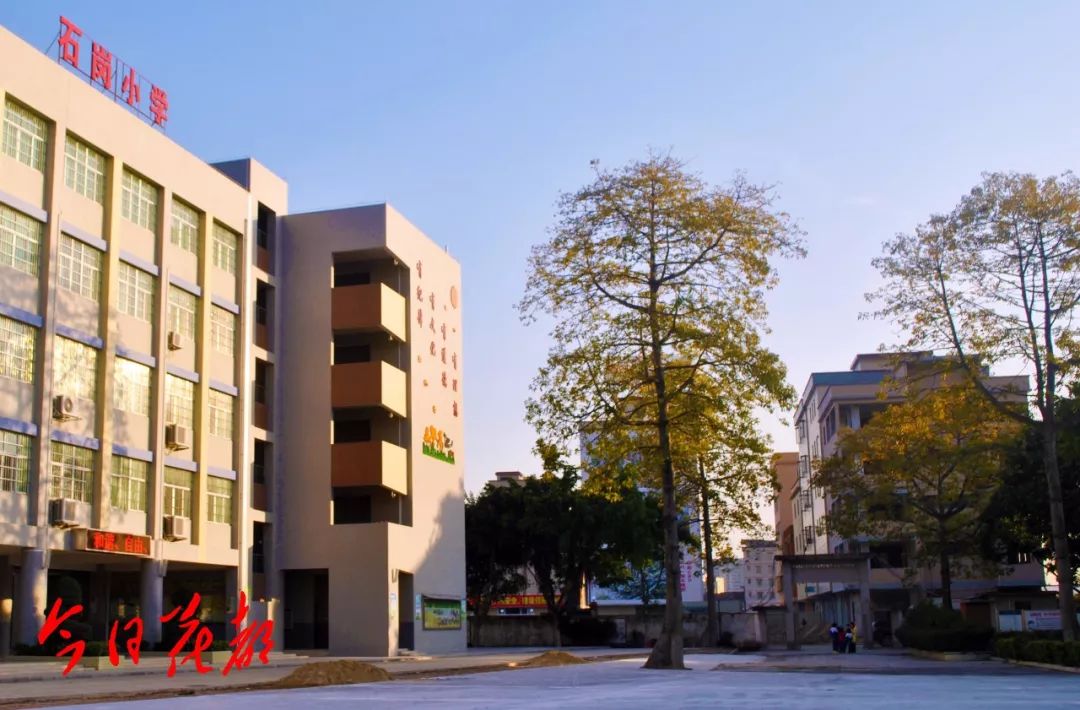 关注石岗小学建设情况如何最新消息来了