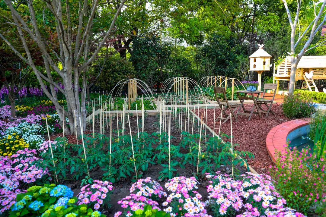 共同战疫云赏花展│中外庭院当蔬菜遇上花园二