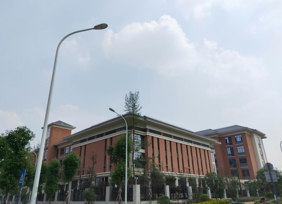 在青羊我过上了理想中的生活