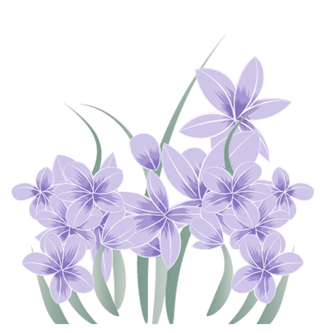 纯白的梨花与紫色的二月兰交相开放,彷如白云紫霞般梦幻,是每年初春最