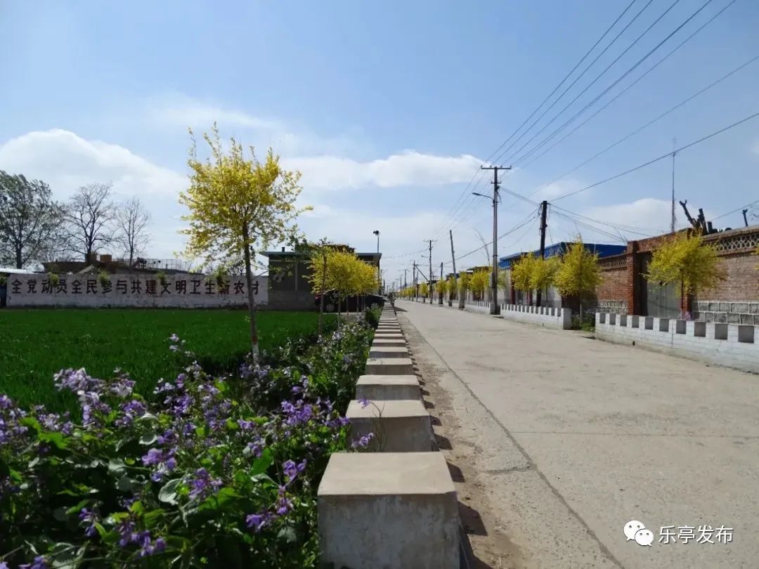 乐亭县全力推进乡村振兴战略纪实绘就三农新画卷