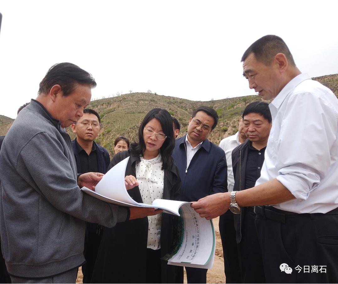 5月13日,离石区委书记张潞萍先后深入信义镇信义村,小神头村,崖窑湾村