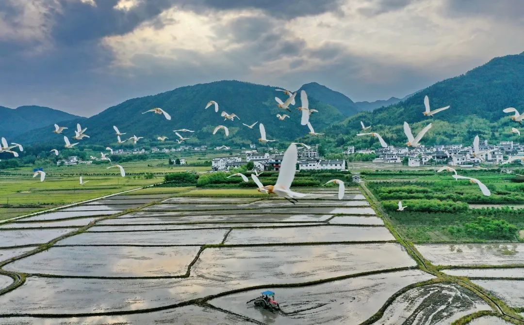 "美丽中国,我是行动者"主题摄影作品展(1)