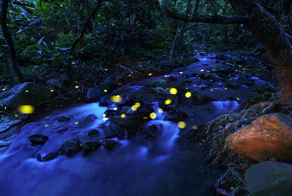 ╮6106з6107╭嘘这里有一片萤火虫之森