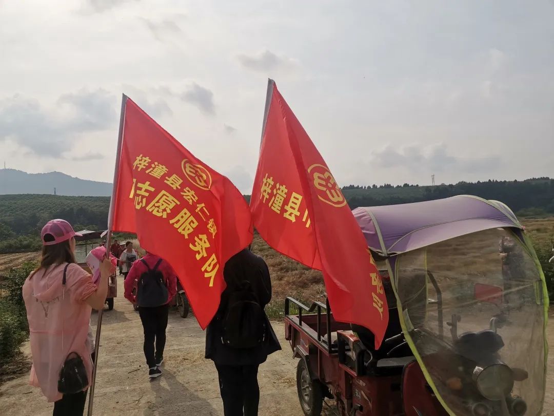 梓潼县妇联联合宏仁镇妇联开展 "巾帼志愿助农收"活动