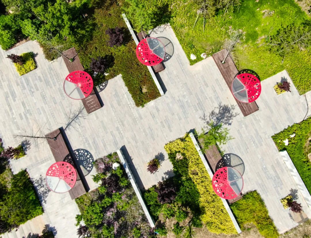 环形公园三期快了