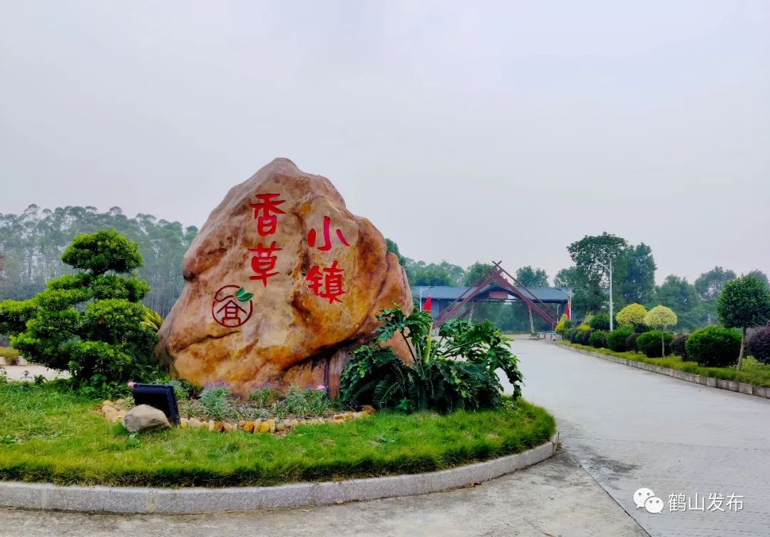 芳香扑鼻宅梧香草小镇的百亩香草园里近日2020-05-17 02:26中共鹤山