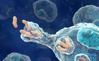 巨噬细胞也会有免疫记忆吗？