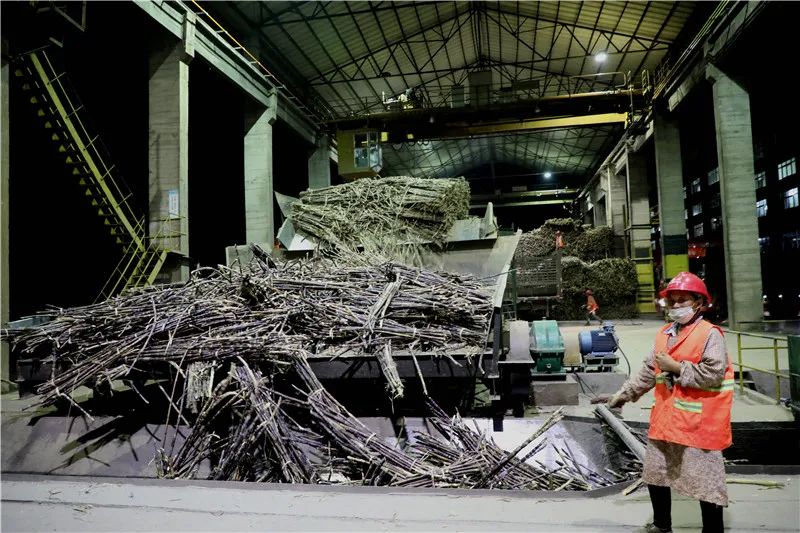 云南最大的跨境糖厂顺利复产