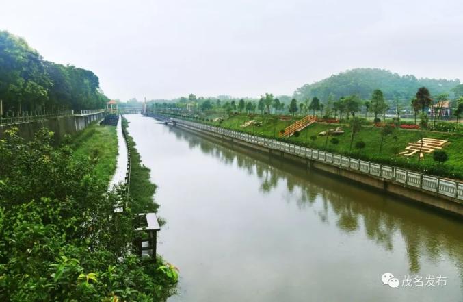 2020年河長制湖長制茂名這樣幹