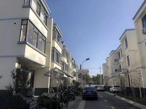村民白领同楼而居、菌菇成可循环产业……宝山这个村独特的乡村振兴实践
