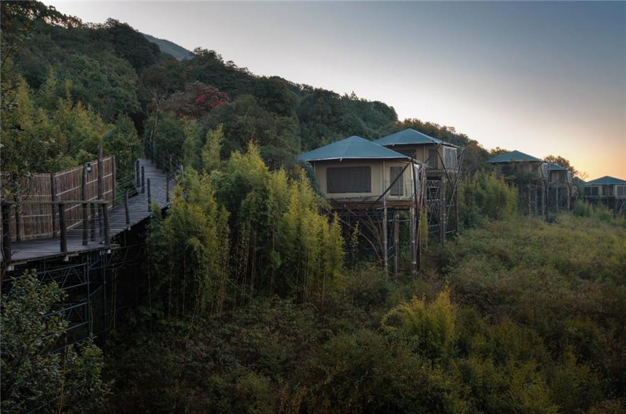 腾冲半山酒店丨康藤高黎贡帐篷营地树梢上的自然栖居地