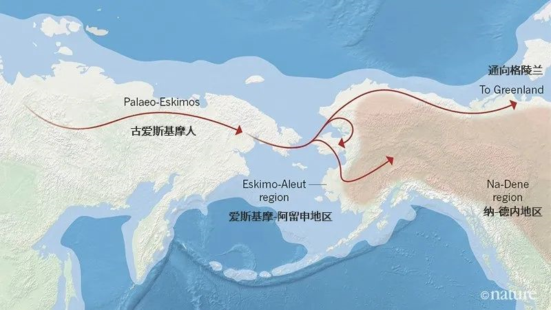 经过几波迁移人类才在美洲实现了定居