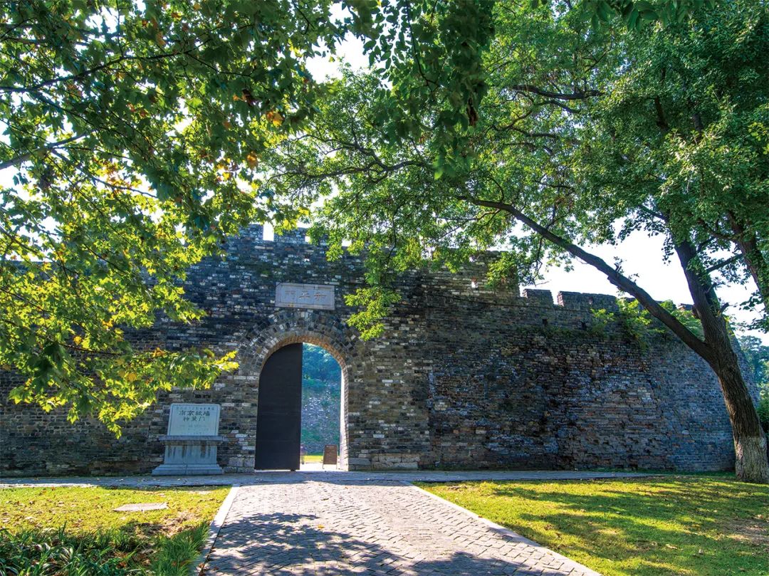 这些可都是宝贝宝贝宝贝宝贝宝贝宝贝啊