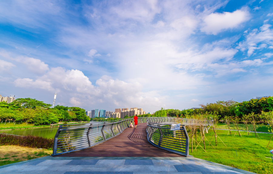 初夏时节,走进怡海湖公园,到处是美丽的风景和赏玩的人群.