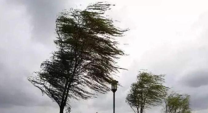 大风天气防御指南1、大风天气来临前，应关好门窗，妥善安置易受大风影响