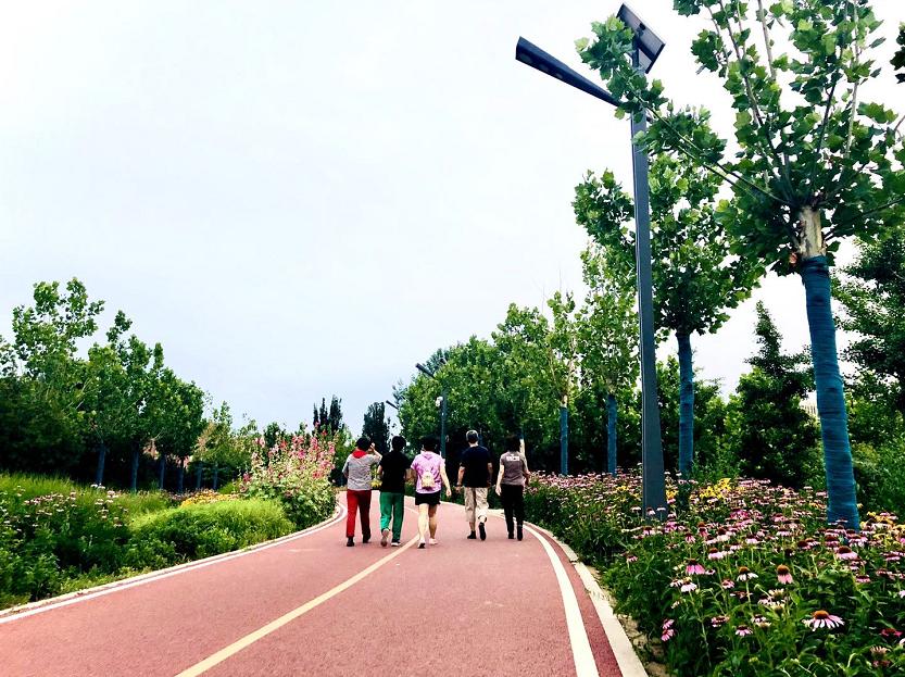 白色,红色,紫色,绿色漫步在滨河公园环境幽静,植被