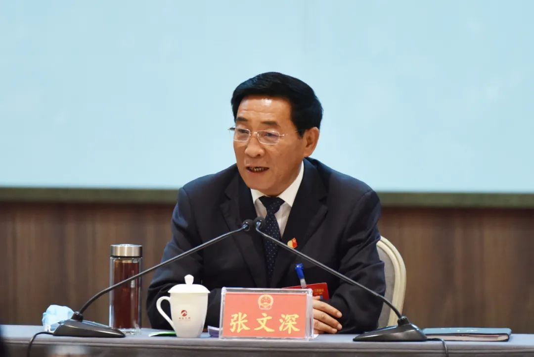 市委书记张文深参加卧龙代表团审议