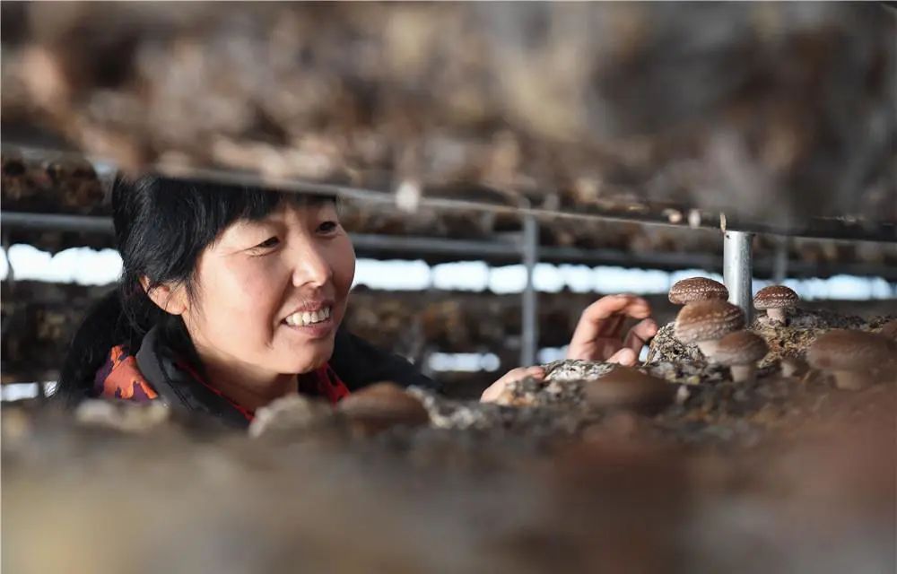 "环京津贫困带"整体脱贫记_澎湃号·政务_澎湃新闻-the paper