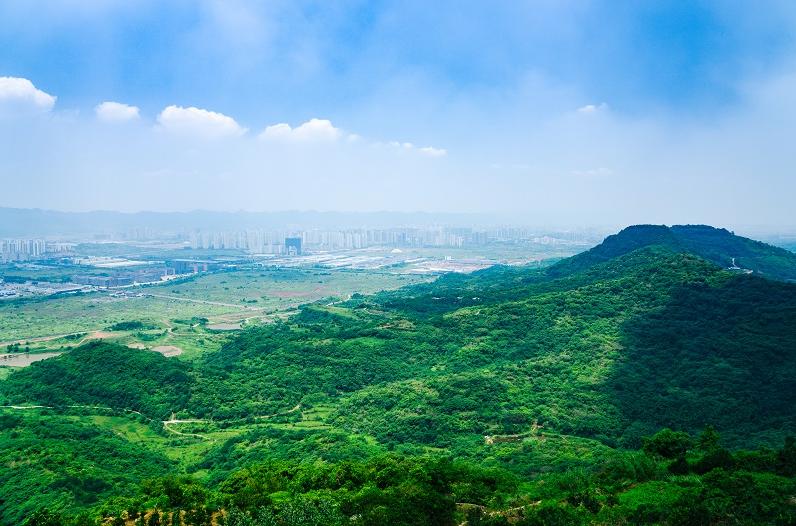 含谷镇当好发展急先锋开创高质量发展新局面