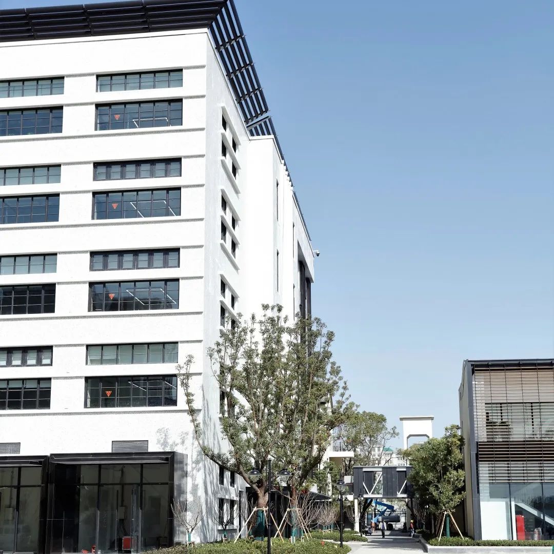 中以(上海)创新园载体入选国家重点研发计划科技示范工程!