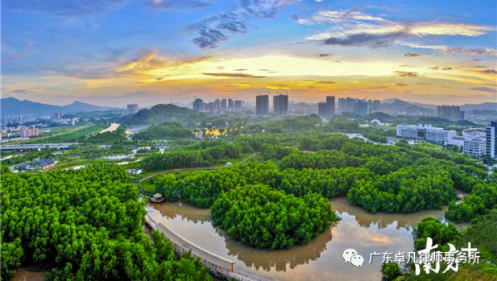 实现更大发展的强烈信心,将有力助推粤港澳大湾区世界级石化基地建设
