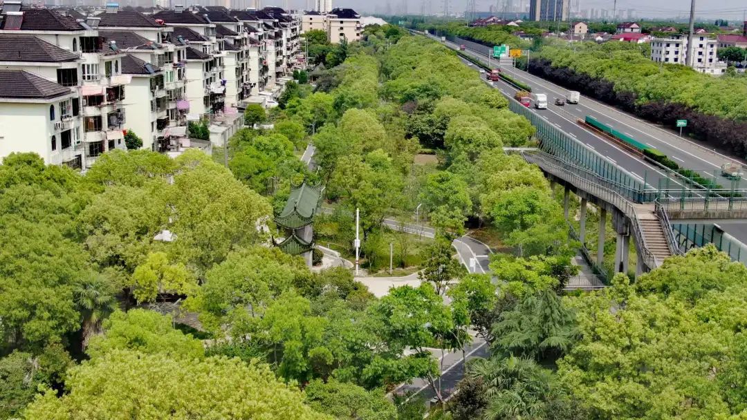 探访奉贤田字绿廊市民身边的城廓公园