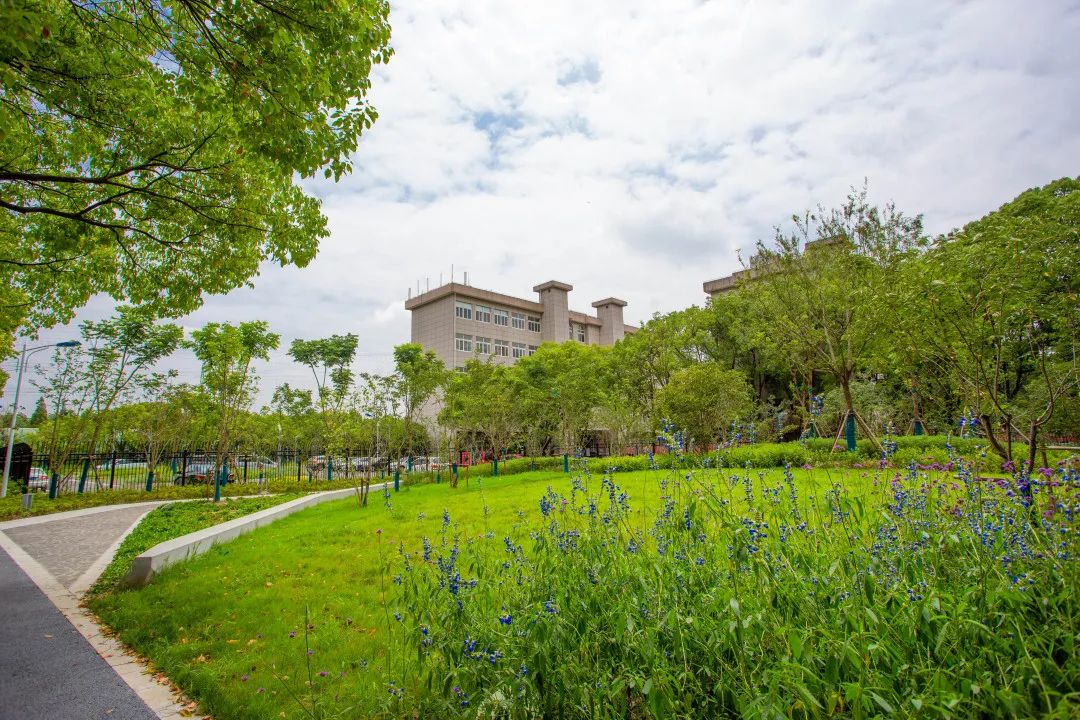 探访奉贤田字绿廊市民身边的城廓公园