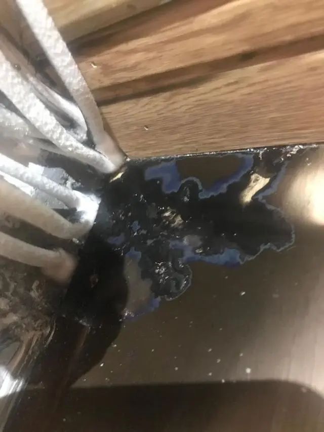 女业主被家里蘑菇吓哭：怎么都除不掉，晚上还会化成一滩黑水！